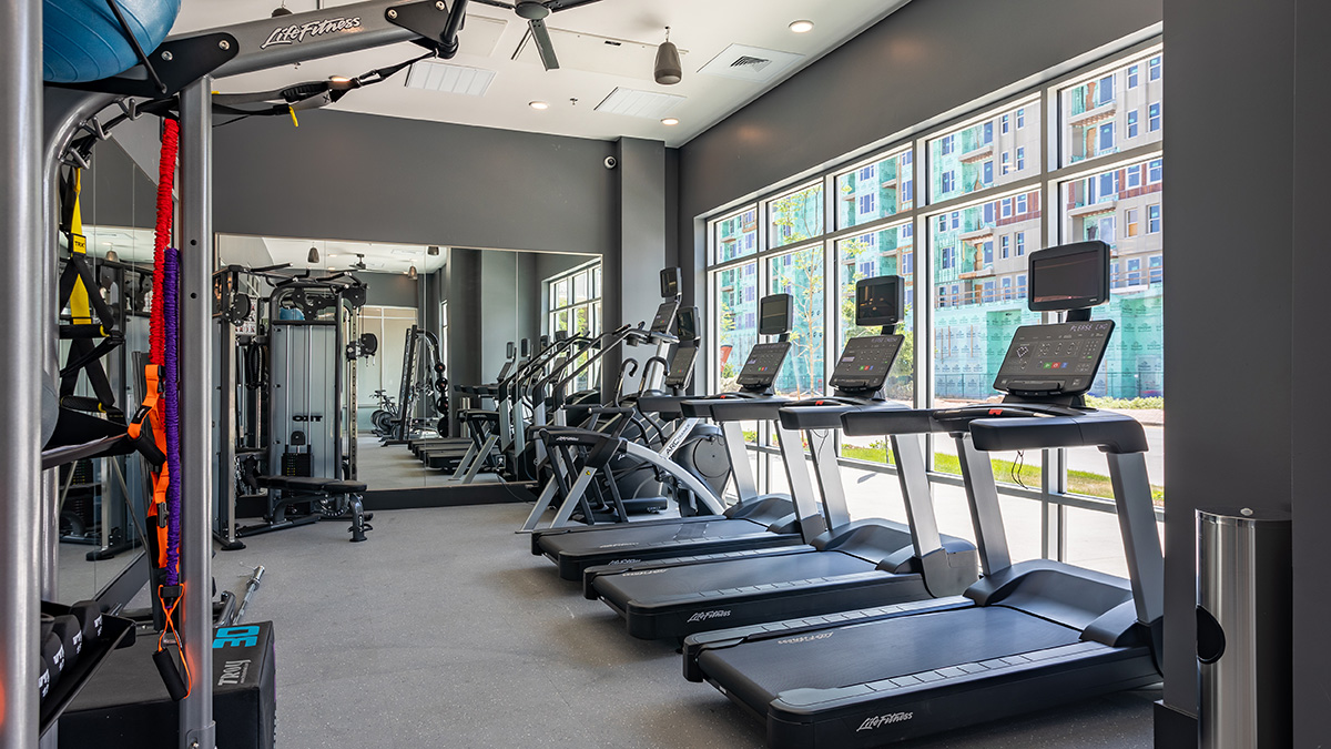 Fitness center with cardio and strength training equipment